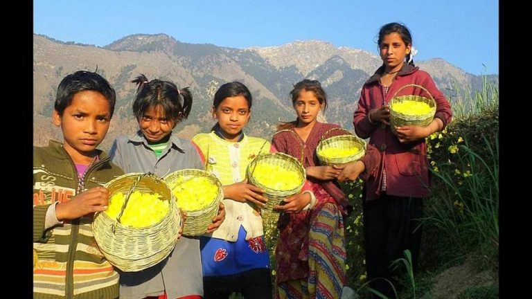 उत्तराखंड का सुप्रसिद्ध बाल लोक पर्व फूलदेई धूमधाम से मनाया जा रहा है।