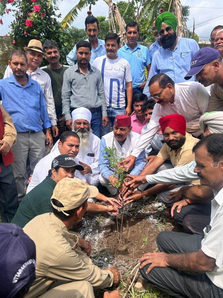 लोकप्रिय विधायक बृजभूषण गैरोला ने हरेला पर्व पर “एक पेड़ माँ के नाम” कार्यक्रम में किया वृक्षारोपण